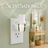 image:imageScentSationals Honeysuckle Nectar Scented Fragrance Oil Refills 3Pack