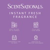image:imageScentSationals Lavender amp Vanilla Scented Fragrance Oil Refills 3Pack