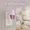 image:imageScentSationals Lavender amp Vanilla Scented Fragrance Oil Refills 3Pack