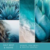 image:imageScentSationals Salt Mist amp Agave Scented Fragrance Oil Refills 3Pack
