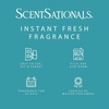 image:imageScentSationals Salt Mist amp Agave Scented Fragrance Oil Refills 3Pack