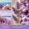 image:imageScentSationals Sea Salt Lavender Scented Fragrance Oil Refills 3Pack