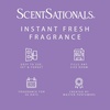image:imageScentSationals Sea Salt Lavender Scented Fragrance Oil Refills 3Pack