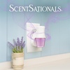 image:imageScentSationals Sea Salt Lavender Scented Fragrance Oil Refills 3Pack