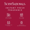 image:imageScentSationals Sparkling Raspberry Sorbet Fragrance Oil Refills 3Pack
