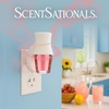 image:imageScentSationals Watermelon Sugar Scented Fragrance Oil Refills 3Pack