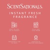image:imageScentSationals Watermelon Sugar Scented Fragrance Oil Refills 3Pack