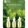 image:imageScentSationals Fresh Fir Needles  Balsam Fragrance Oil Refills 3Pack