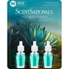 image:imageScentSationals Salt Mist amp Agave Scented Fragrance Oil Refills 3Pack