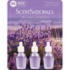 image:imageScentSationals Sea Salt Lavender Scented Fragrance Oil Refills 3Pack