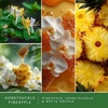 image:imageScentSationals Honeysuckle Pineapple Scented Wax Melts 10oz 24 Cubes
