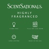 image:imageScentSationals Honeysuckle Pineapple Scented Wax Melts 10oz 24 Cubes