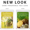 image:imageScentSationals Honeysuckle Pineapple Scented Wax Melts 10oz 24 Cubes