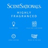 image:imageScentSationals Warm White Sands Coconut Scented Wax Melts 10oz 24 CubesCaribbean Clouds