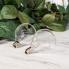 image:imageScentsationals 25 Watt Wax Warmer Bulbs Style G50 Clear 2 PackClear