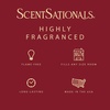 image:imageScentsationals Christmas Wax Melts Holiday Favorites 4pk  Long Lasting Strong Scent Melts for Warmers Includes Red Hot Cinnamon Woodland Spruce Brown Butter Cookies amp Stay Cozy 10oz 24 Cubes