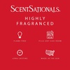 image:imageScentsationals Cola Float Classic Cola Scented Wax Melts 10oz 24 CubesCherry Limeade
