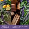 image:imageScentsationals Down to Earth  Scented Wax Melts Variety Pack