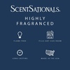 image:imageScentsationals Enchanted Bergamot Scented Wax Melts 10oz 24 CubesEnchanted