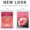 image:imageScentsationals Enchanted Bergamot Scented Wax Melts 10oz 24 CubesHello Gorgeous