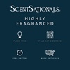 image:imageScentsationals Enchanted Bergamot Scented Wax Melts 10oz 24 CubesMagic Spell