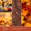 image:imageScentsationals Fall Wax Melts  Harvest Home 4Pack  Long Lasting Wax Cubes with Strong Scent for Warmers  Includes Warm Apple Pie Vanilla Pine Fallen Leaves amp Feelin Cozy  10oz 24Cubes