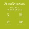image:imageScentsationals Fruit Punch Passionfruit Scented Wax Melts 10oz 24 CubesLemon Lime Fizz