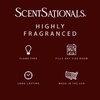 image:imageScentsationals Fruit Punch Passionfruit Scented Wax Melts 10oz 24 CubesRoot Beer