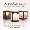 image:imageScentsationals Fruit Punch Passionfruit Scented Wax Melts 10oz 24 CubesRoot Beer