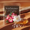 image:imageScentsationals Mediterranean Grove Fig Leaf Scent Wax Melts 10oz24 CubesDesert Rose