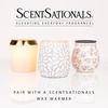image:imageScentsationals Mediterranean Grove Fig Leaf Scent Wax Melts 10oz24 CubesDesert Rose