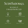 image:imageScentsationals Mediterranean Grove Fig Leaf Scent Wax Melts 10oz24 CubesKyoto Spa