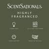 image:imageScentsationals Mediterranean Grove Fig Leaf Scent Wax Melts 10oz24 CubesMediterranean Grove