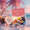 image:imageScentsationals Mediterranean Grove Fig Leaf Scent Wax Melts 10oz24 CubesTropical Escape