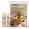 image:imageScentSationals Warm White Sands Coconut Scented Wax Melts 10oz 24 CubesWarm White Sands