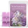image:imageScentsationals Berry Blossom Breeze Violet Scent Wax Melts 10oz 24 Cubes