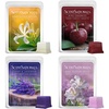 image:imageScentsationals Down to Earth  Scented Wax Melts Variety Pack