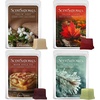 image:imageScentsationals Fall Wax Melts  Harvest Home 4Pack  Long Lasting Wax Cubes with Strong Scent for Warmers  Includes Warm Apple Pie Vanilla Pine Fallen Leaves amp Feelin Cozy  10oz 24Cubes