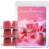 Strawberry Splash