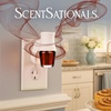 image:imageScentSationals Cinnamon Buns Scented Fall Fragrance Oil Refills 3Pack
