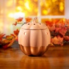 image:imageScentSationals Copper Pumpkin  Fall Wax Warmer for Scented Wax Melts