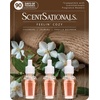 image:imageScentSationals Feelin Cozy Plugin Starter Kit  Black  6 Refills