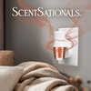 image:imageScentSationals Feelin Cozy Plugin Starter Kit  Black  6 Refills