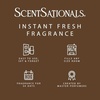 image:imageScentSationals Feelin Cozy Plugin Starter Kit  Black  6 Refills