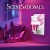 image:imageScentSationals Girlfriend Night Scented Plug in Air Freshener Starter SetGirlfriend Night