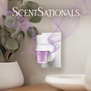 image:imageScentSationals Girlfriend Night Scented Plug in Air Freshener Starter SetLilac Blossoms