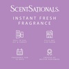 image:imageScentSationals Girlfriend Night Scented Plug in Air Freshener Starter SetLilac Blossoms