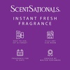 image:imageScentSationals Girlfriend Night Scented Plug in Air Freshener Starter SetMagic Spell