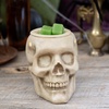 image:imageScentSationals Skull  Halloween Wax Warmer for Scented Wax Melts