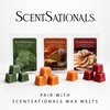 image:imageScentSationals Tabitha Pumpkins Halloween Wax Warmer for Scented Wax Melts